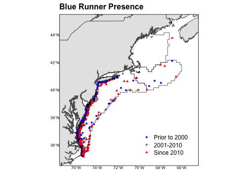 Blue runner presence on Northeast Shelf
