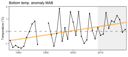 Annual bottom temperature in the Mid-Atlantic Bight.