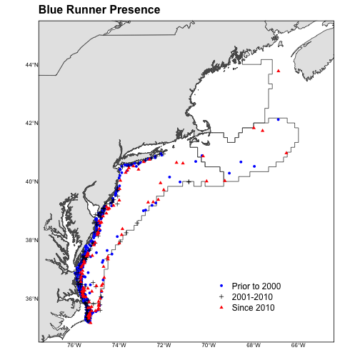 Blue runner presence on Northeast Shelf