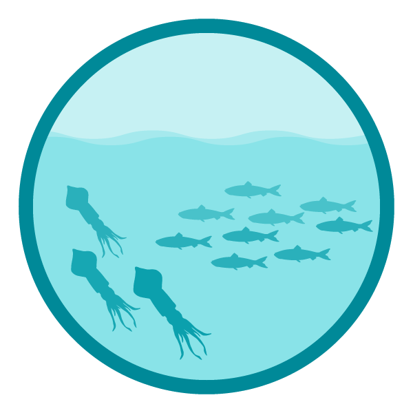 :img Forage fish icon made by EDAB, 15%