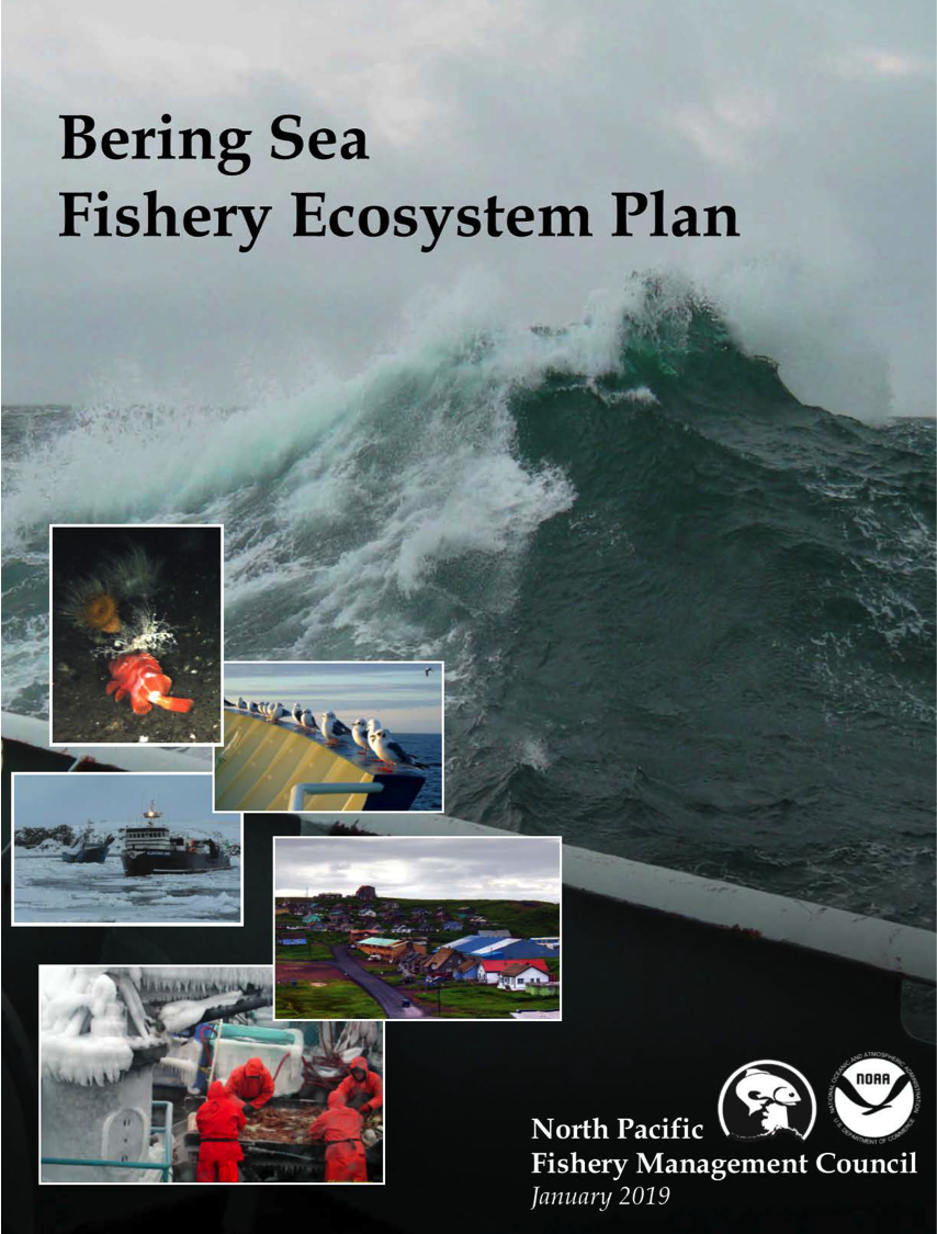 :img Bering Sea Fishery Ecosystem Plan cover, 80%