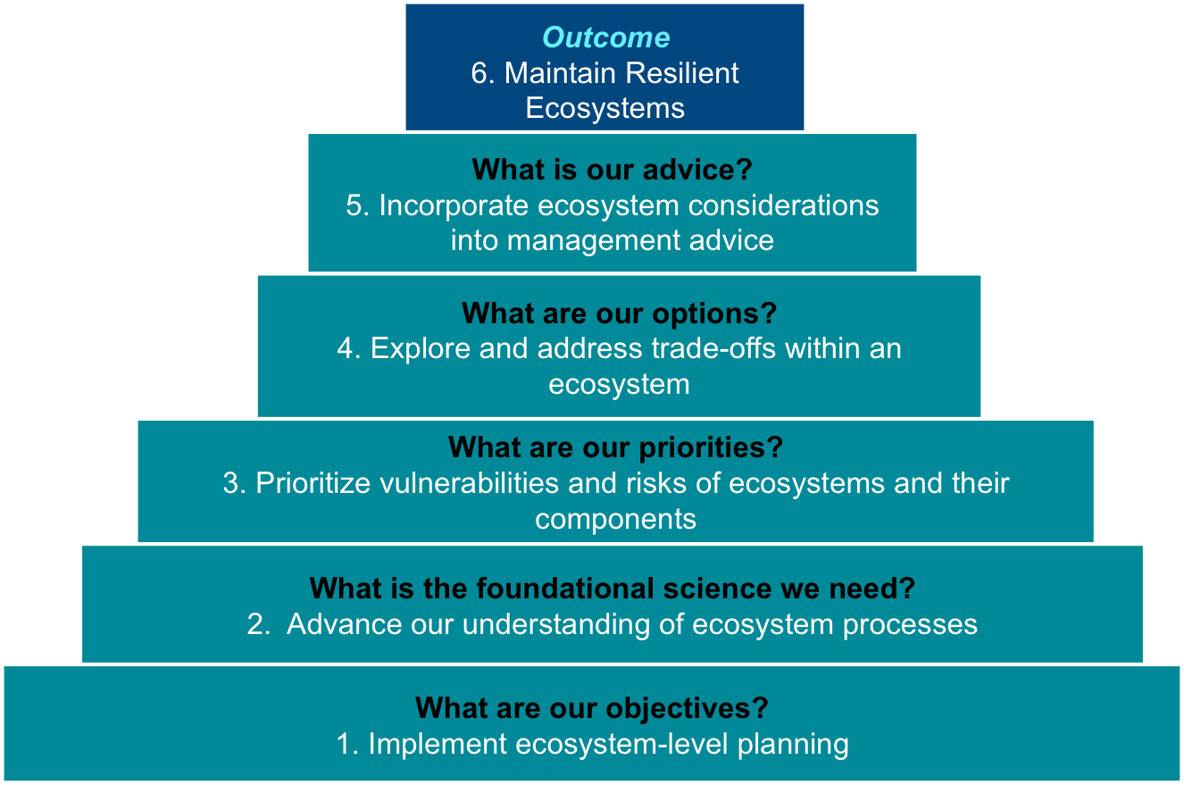 Five supporting EBFM steps to maintain resilient ecosystems