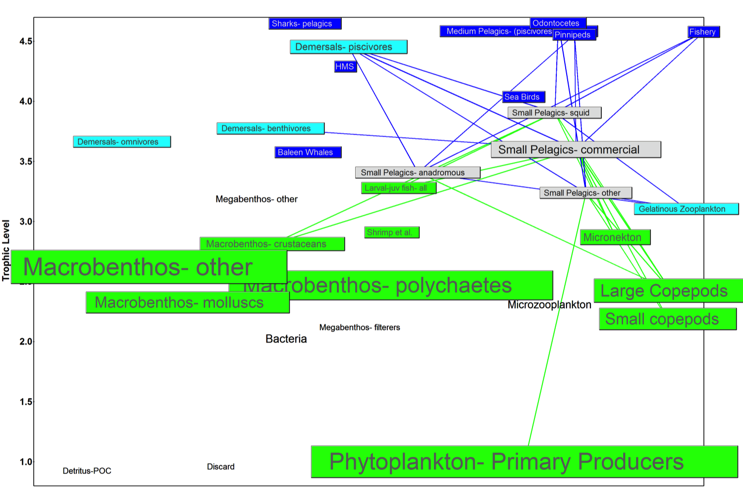 GOM food web
