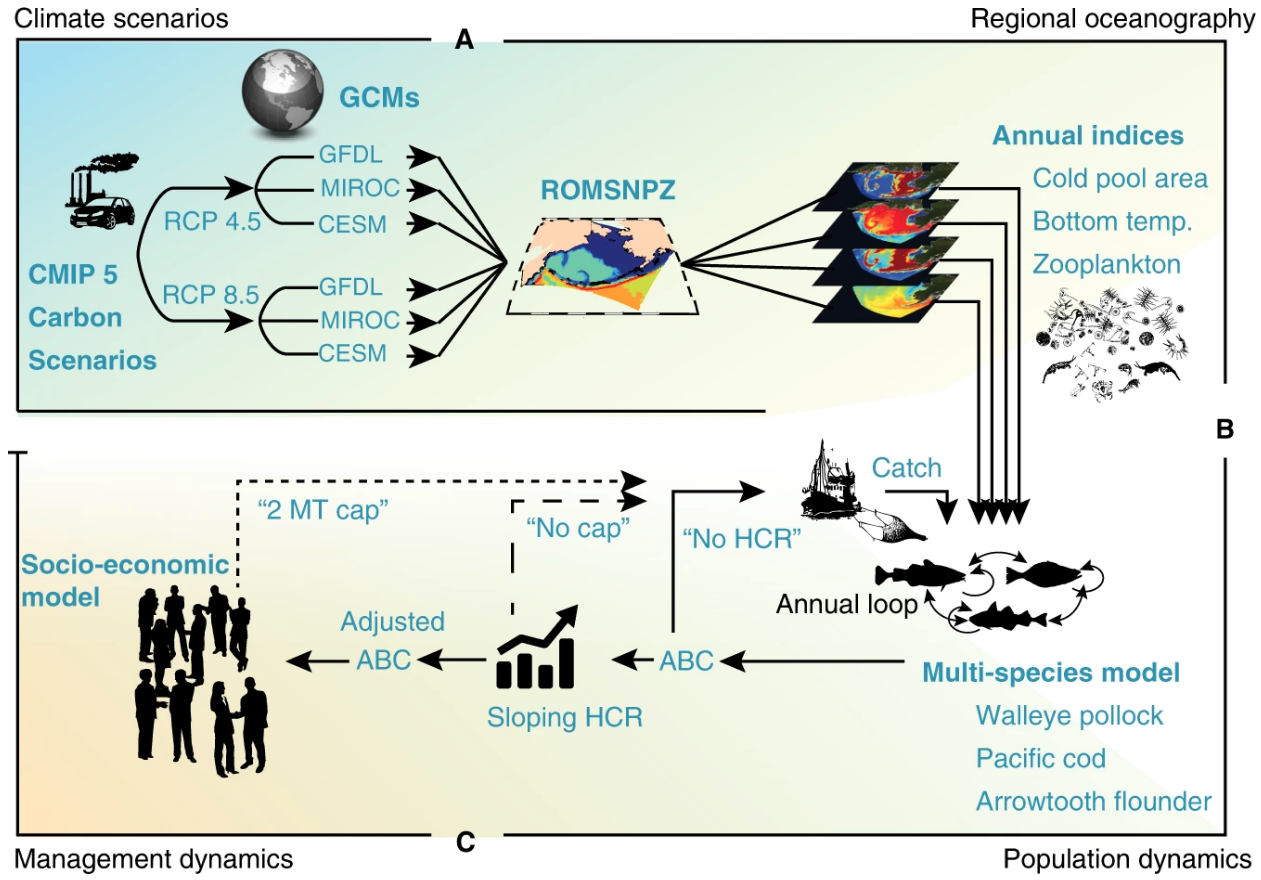 :img Holsman et al Fig 1 Model Coupling Framework, 75%