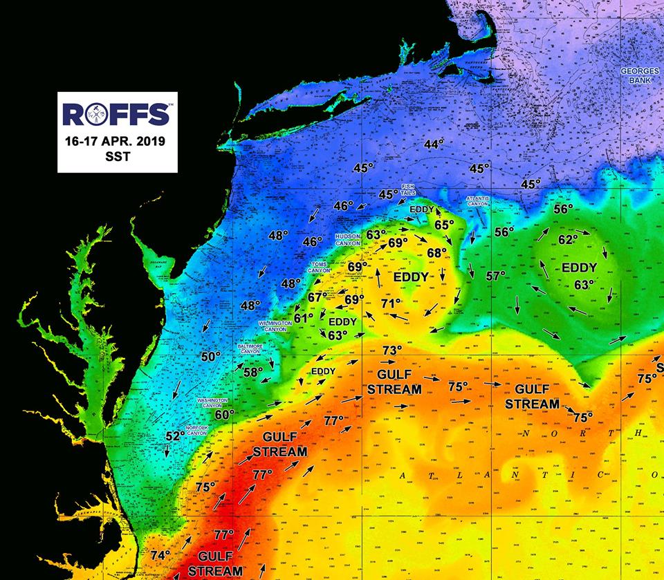 ROFFS image of warm core ring Apri 2019