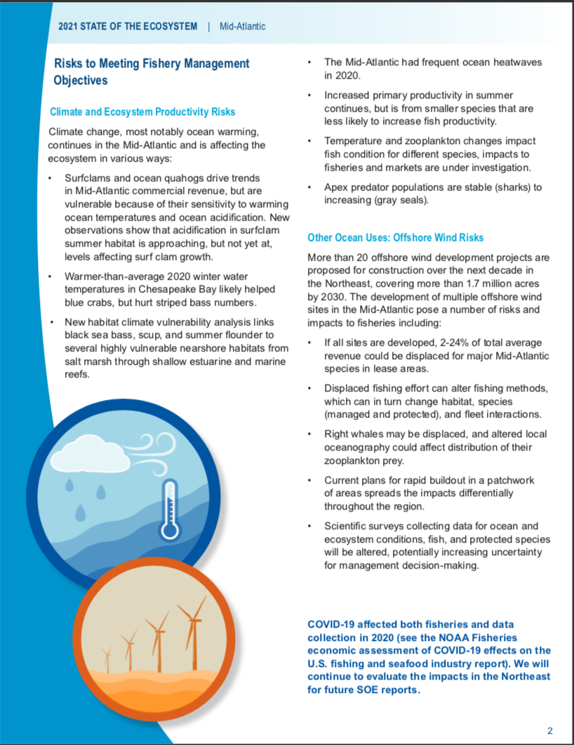 :img State of the Ecosystem page 2 risk bullets, 85%