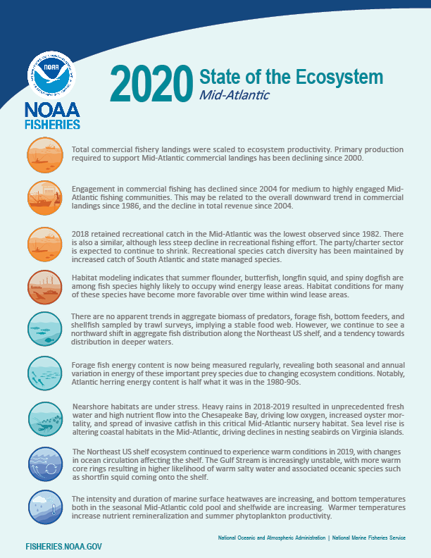 :img State of the Ecosystem page 1 summary bullets, 80%