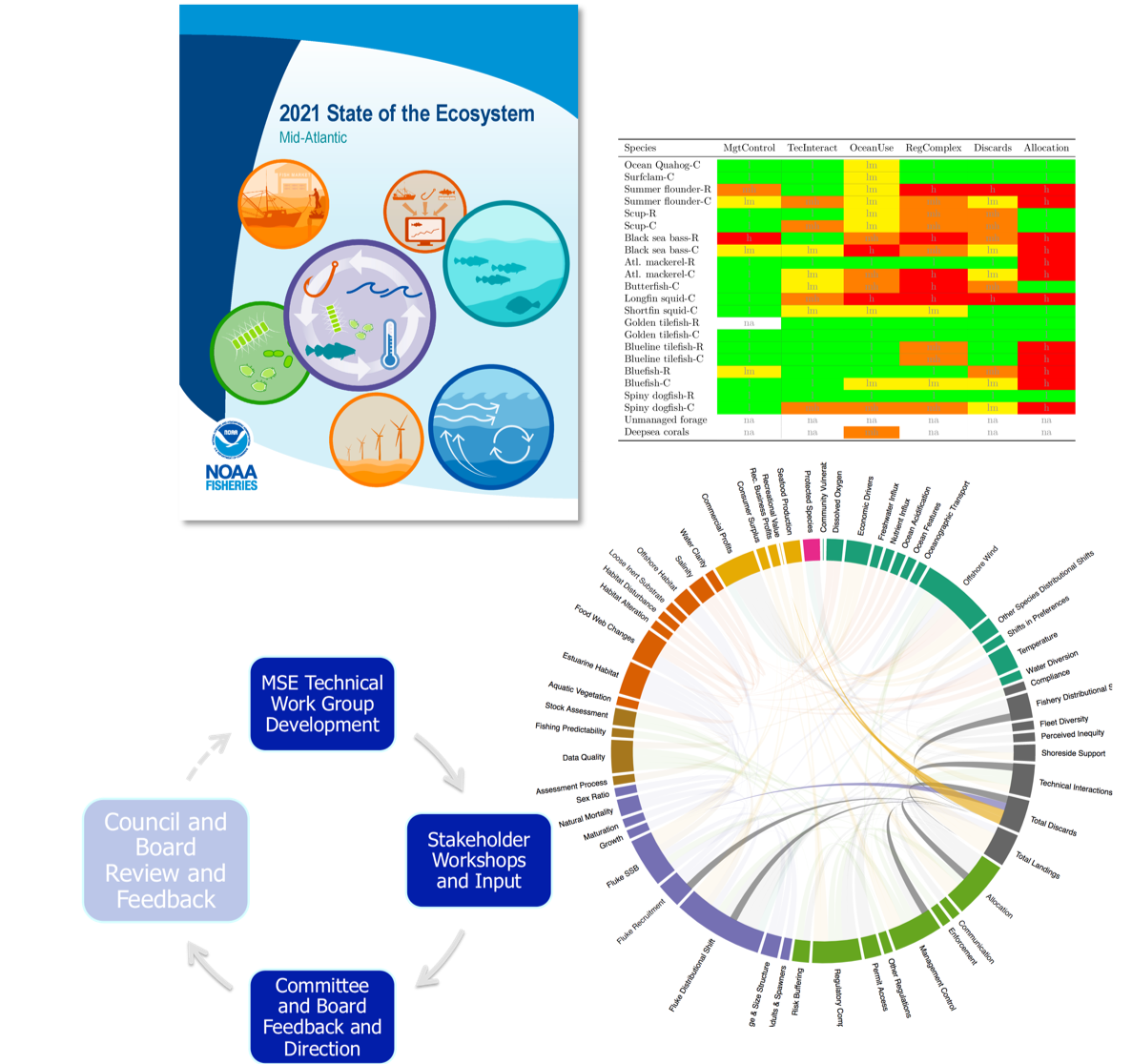 MAFMC ecosystem indicator report leads to risk assessment, conceptual modeling, and MSE