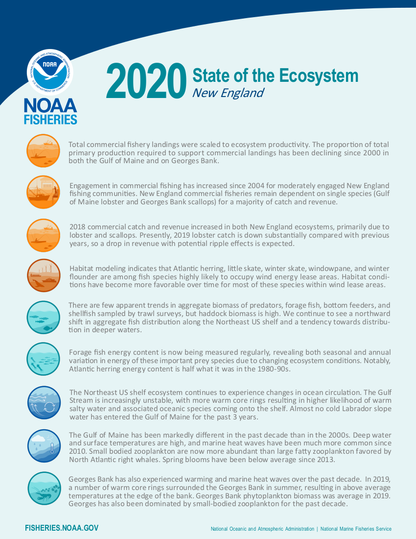 :img State of the Ecosystem page 1 summary bullets, 80%
