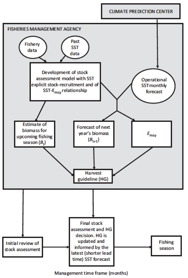 :img proposed use of seasonal forecast in managment for coastal pelagic by Tommasi et al 2017, 60%