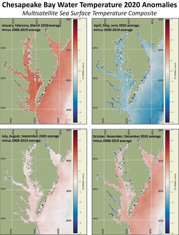 :img Chesapeake Bay Water Temperature 2020 Anomalies from satellite, 75%