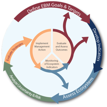 IEA process from goal setting to assessment to strategy evaluation with feedbacks