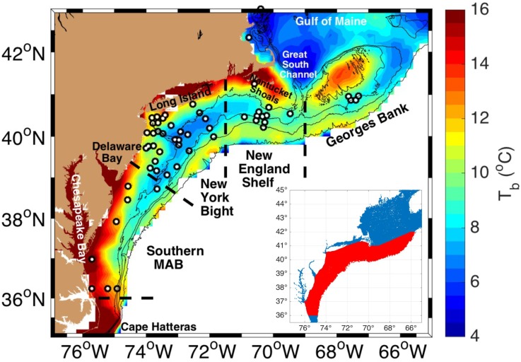 :img Mean near‐bottom temperatures for July in the Middle Atlantic Bight and southern Gulf of Maine (the data set and processing are described in section 3). Temperature time series station locations (circles); boundaries between four subregions of the MAB (separated by dashed lines): the southern flank of Georges Bank, the New England Shelf, the New York Bight, and the Southern Middle Atlantic Bight; and the 50, 75, 100, and 1000 m isobaths (thin black lines) are shown. Inset shows entire region of compiled temperature profiles with the region encompassing the Cold Pool highlighted in red.