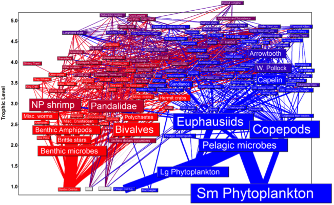 :img GOA food web, 70%