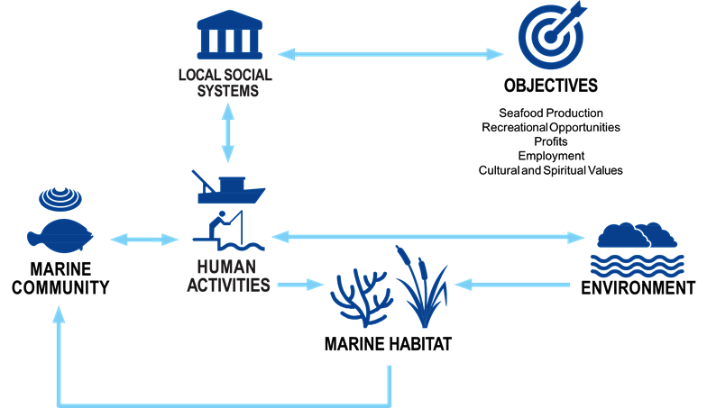 :img relating environment marine habitat and the marine community to human activities social systems and objectives, 100%