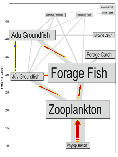 toyfoodweb