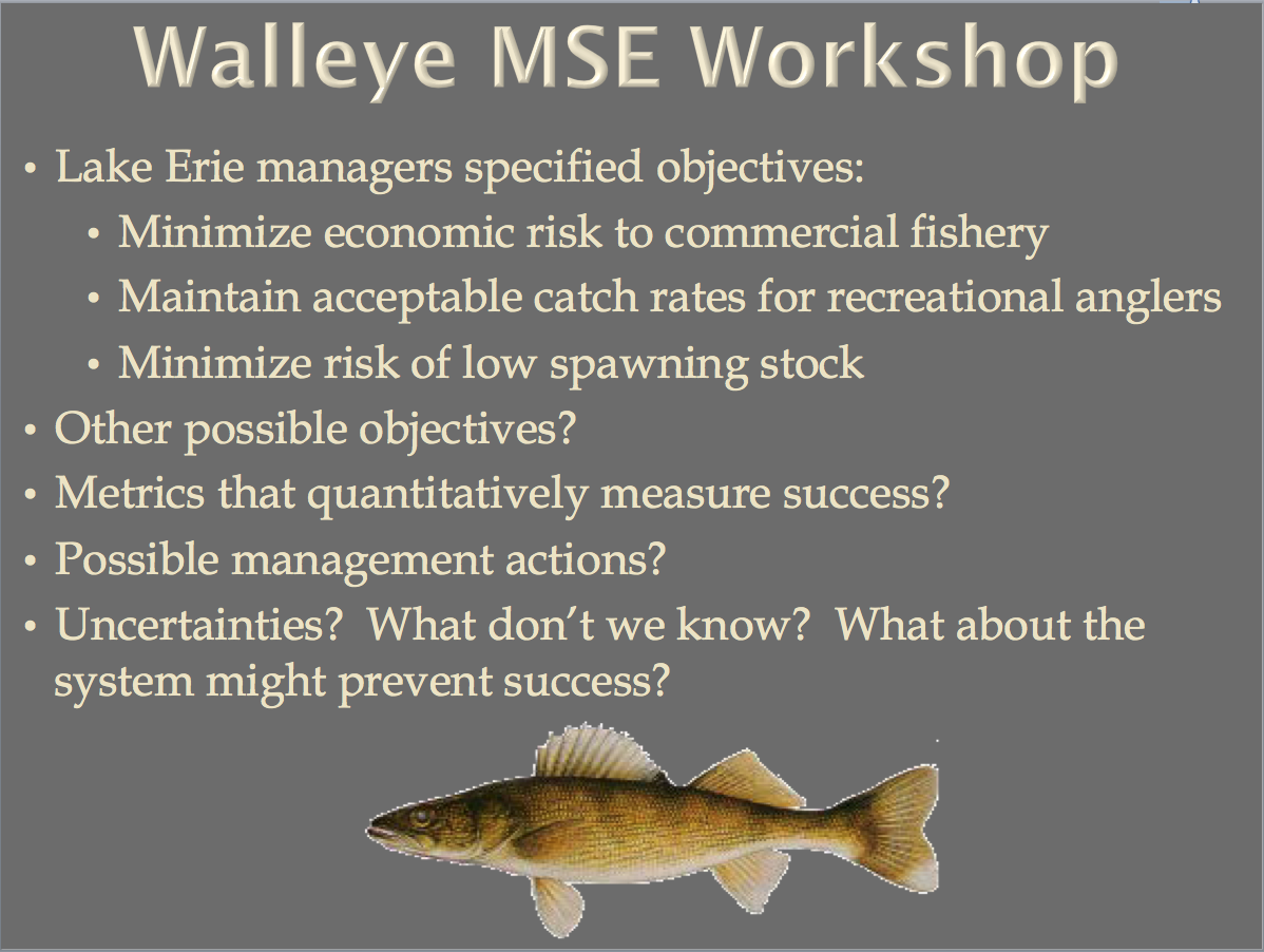 :img MSE kickoff example slide Walleye MSE Workshop